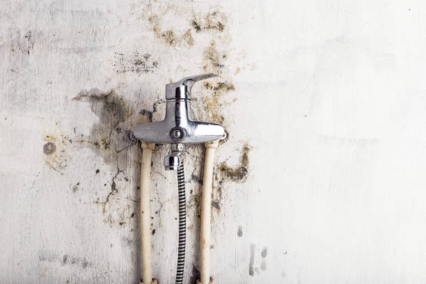 Villa Park, CA Mold Removal Company