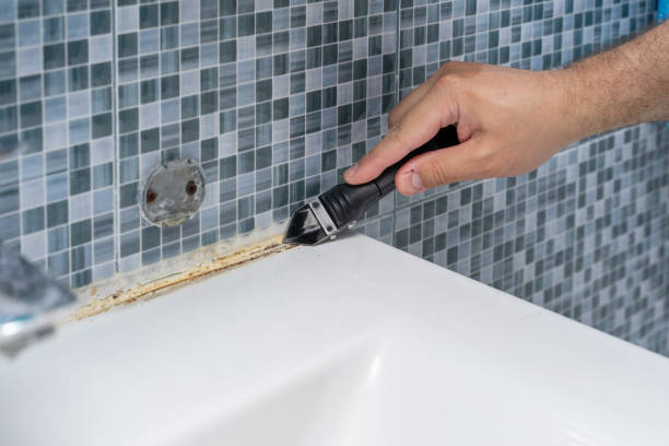 Best Local Mold Removal Service  in Villa Park, CA