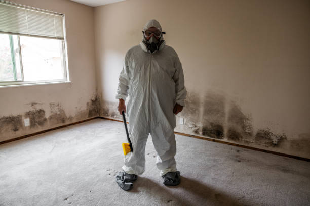 Best Crawl Space Mold Removal  in Villa Park, CA